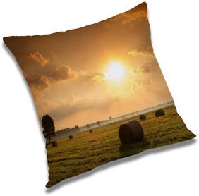 RADANYA Printed Cushion Cover with Filler Set 20x20 inch
