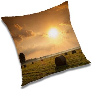RADANYA Printed Cushion Cover with Filler Set 20x20 inch