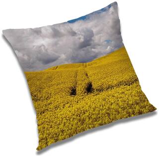 RADANYA Printed Cushion Cover with Filler Set 16x16 inch