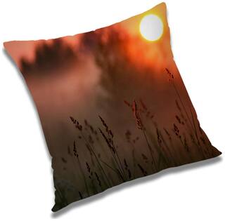 RADANYA Printed Cushion Cover with Filler Set 16x16 inch