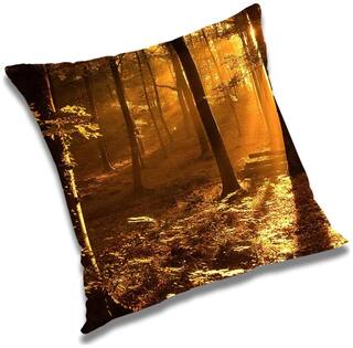 RADANYA Printed Cushion Cover with Filler Set 20x20 inch