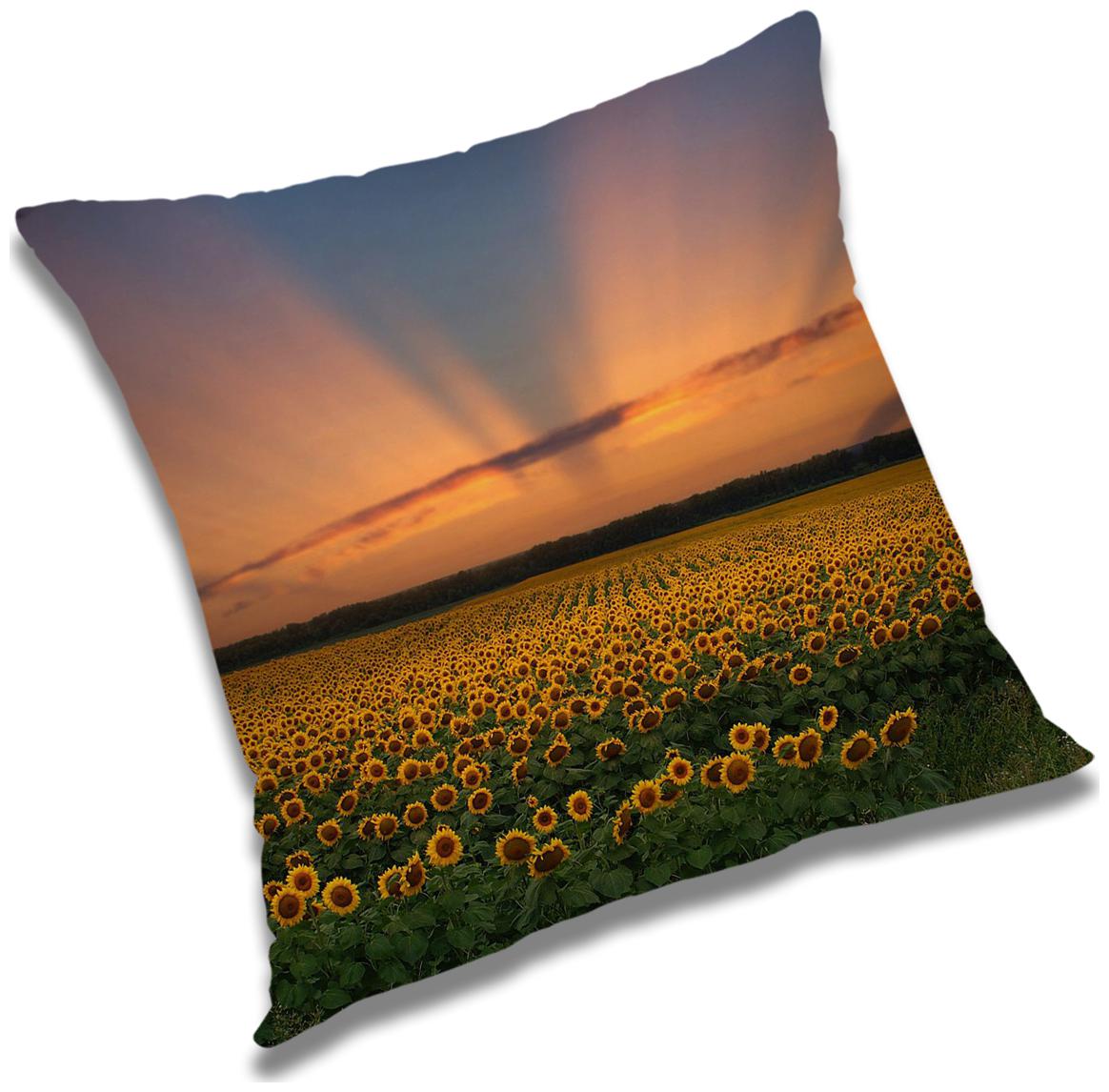 

RADANYA Printed Cushion Cover with Filler Set 18x18 inch