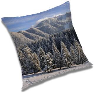 RADANYA Printed Cushion Cover with Filler Set 16x16 inch