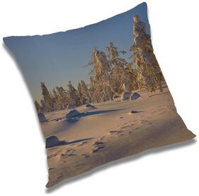 RADANYA Printed Cushion Cover with Filler Set 16x16 inch