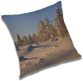 RADANYA Printed Cushion Cover with Filler Set 16x16 inch