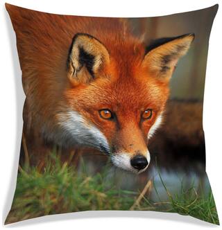 RADANYA Printed Polyester Brown Cushion Cover ( Large , Pack of 1 )
