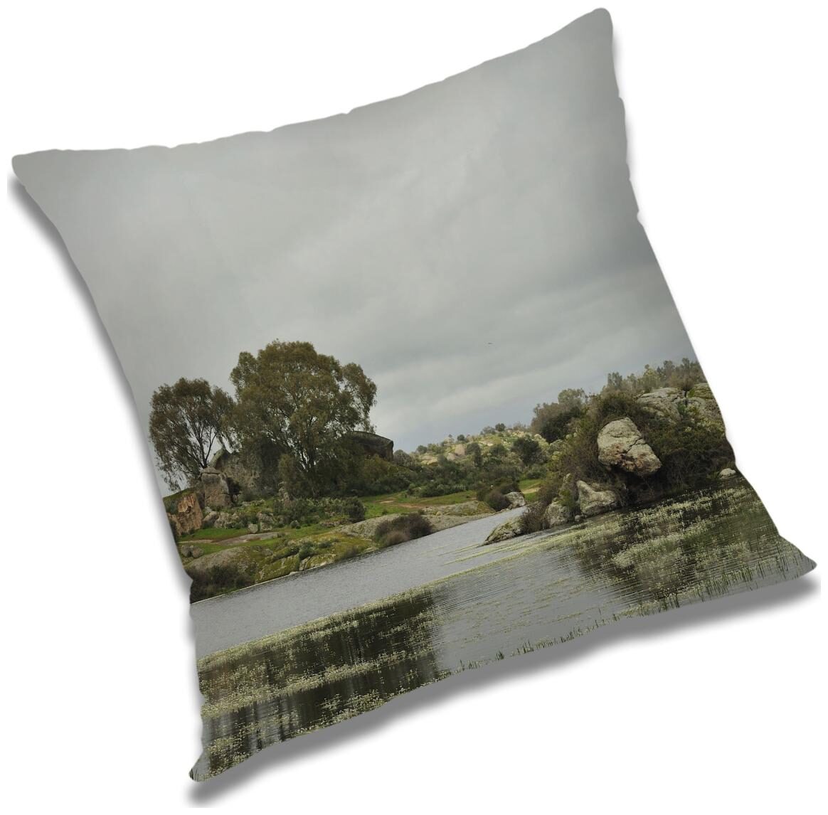 https://assetscdn1.paytm.com/images/catalog/product/H/HO/HOMRADANYA-PRINRADA9934031E346914/1563045882873_0..jpg