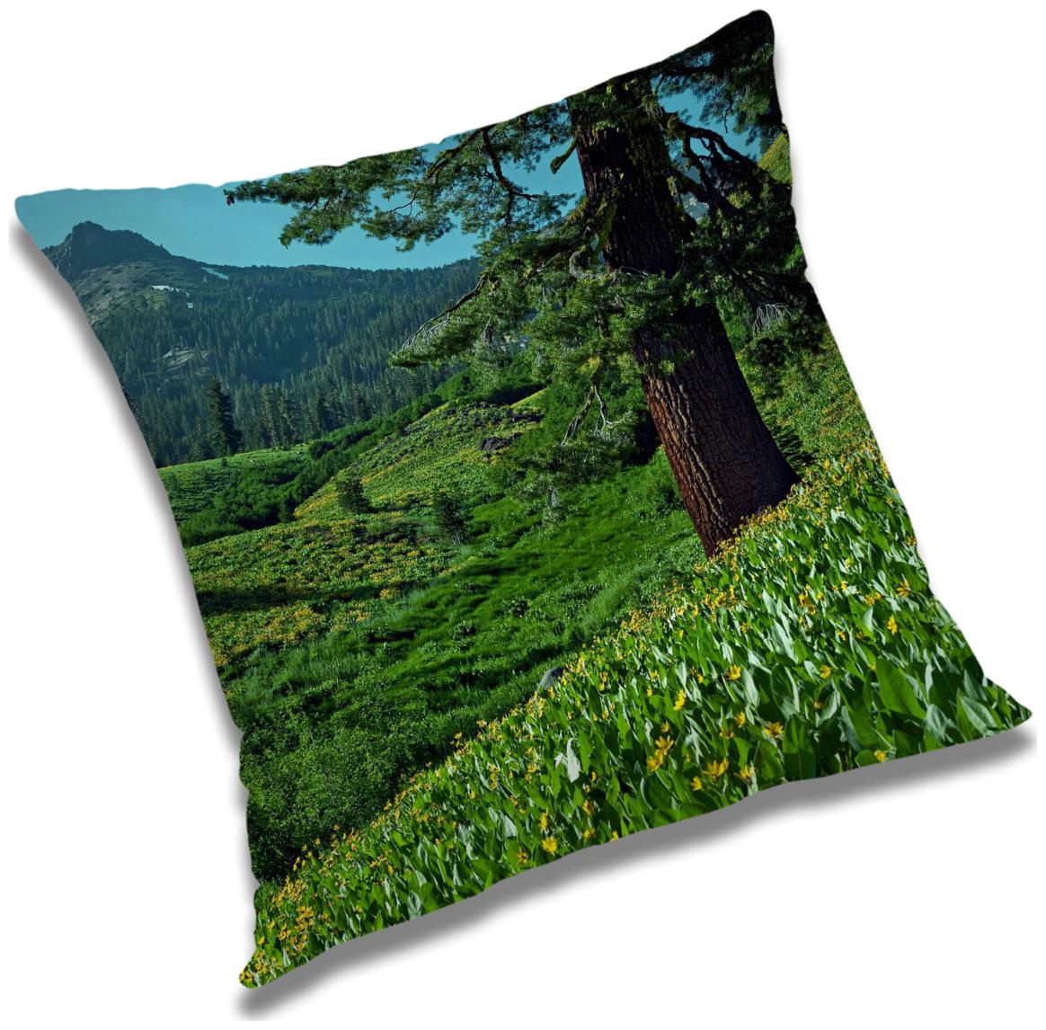 https://assetscdn1.paytm.com/images/catalog/product/H/HO/HOMRADANYA-PRINRADA99340320FE59D3/1563051681428_0..jpg