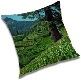 RADANYA Printed Cushion Cover with Filler Set 20x20 inch