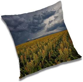 RADANYA Printed Cushion Cover with Filler Set 24x24 inch