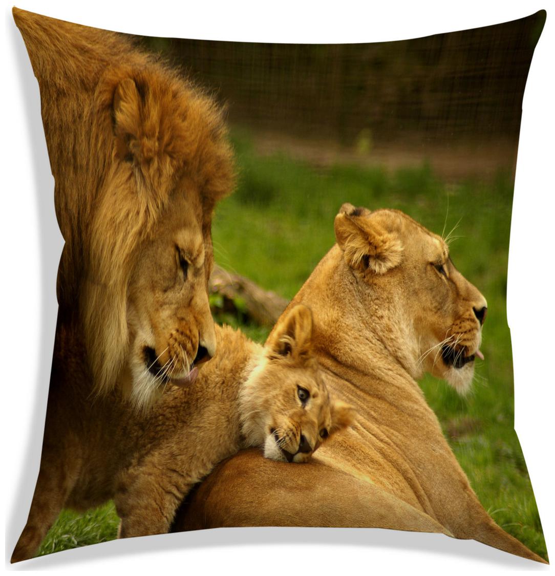 https://assetscdn1.paytm.com/images/catalog/product/H/HO/HOMRADANYA-PRINRADA9934032565A72B/1563081080156_0..jpg