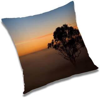 RADANYA Printed Cushion Cover with Filler Set 16x16 inch