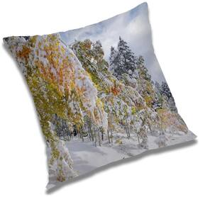 RADANYA Printed Cushion Cover with Filler Set 24x24 inch