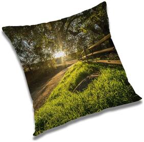 RADANYA Printed Cushion Cover with Filler Set 20x20 inch