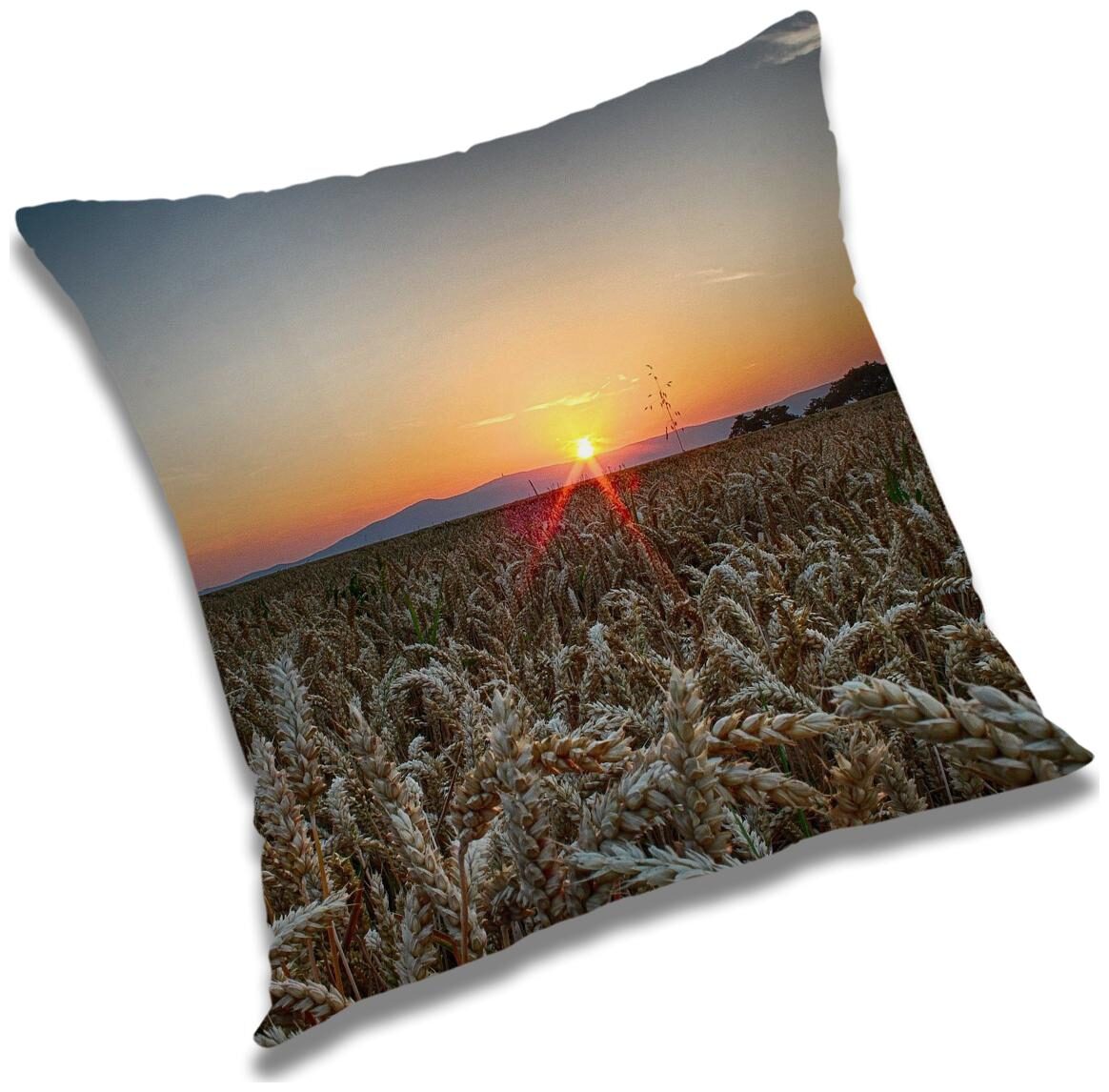 

RADANYA Printed Cushion Cover with Filler Set 24x24 inch