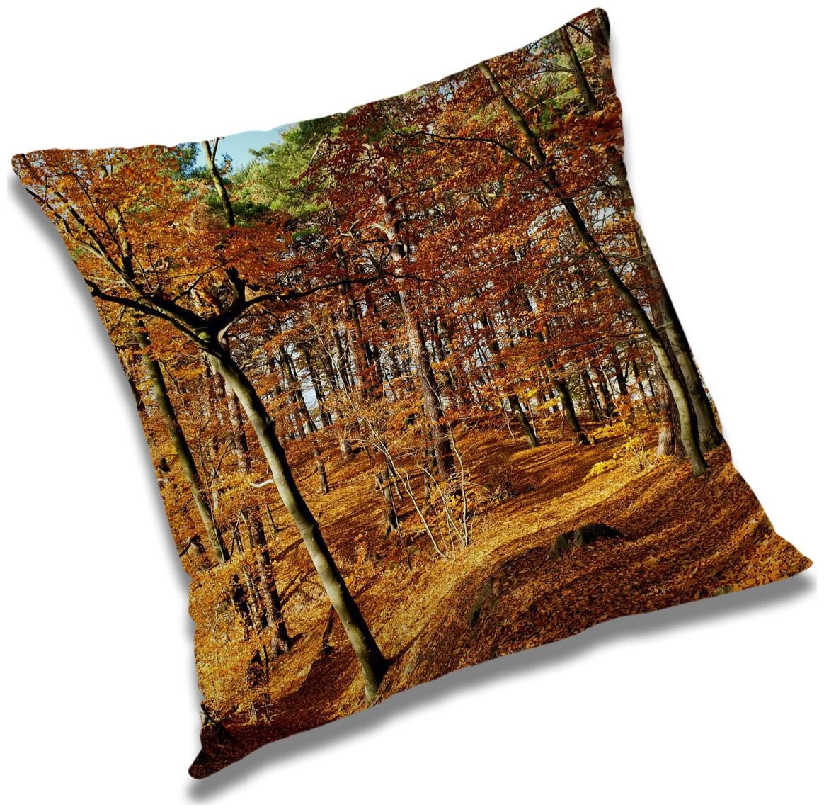 https://assetscdn1.paytm.com/images/catalog/product/H/HO/HOMRADANYA-PRINRADA9934032919F9F5/1563046255990_0..jpg