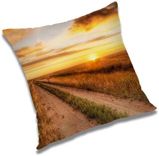 RADANYA Printed Cushion Cover with Filler Set 12x12 inch