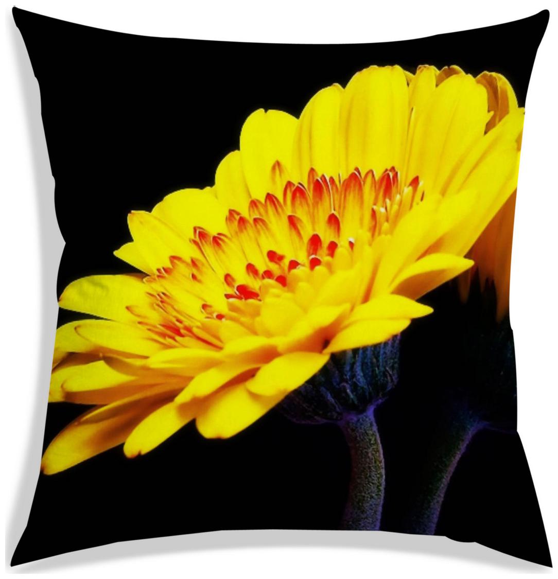 https://assetscdn1.paytm.com/images/catalog/product/H/HO/HOMRADANYA-PRINRADA9934032C4DB447/1563117844164_0..jpg