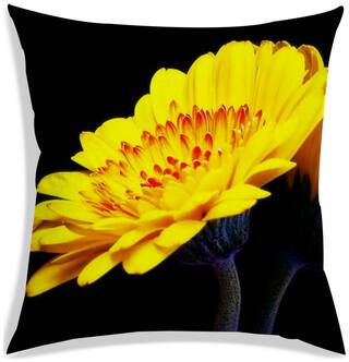 RADANYA Printed Polyester Black Cushion Cover ( Extra large , Pack of 1 )