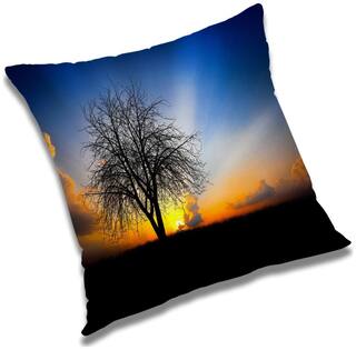 RADANYA Printed Cushion Cover with Filler Set 16x16 inch