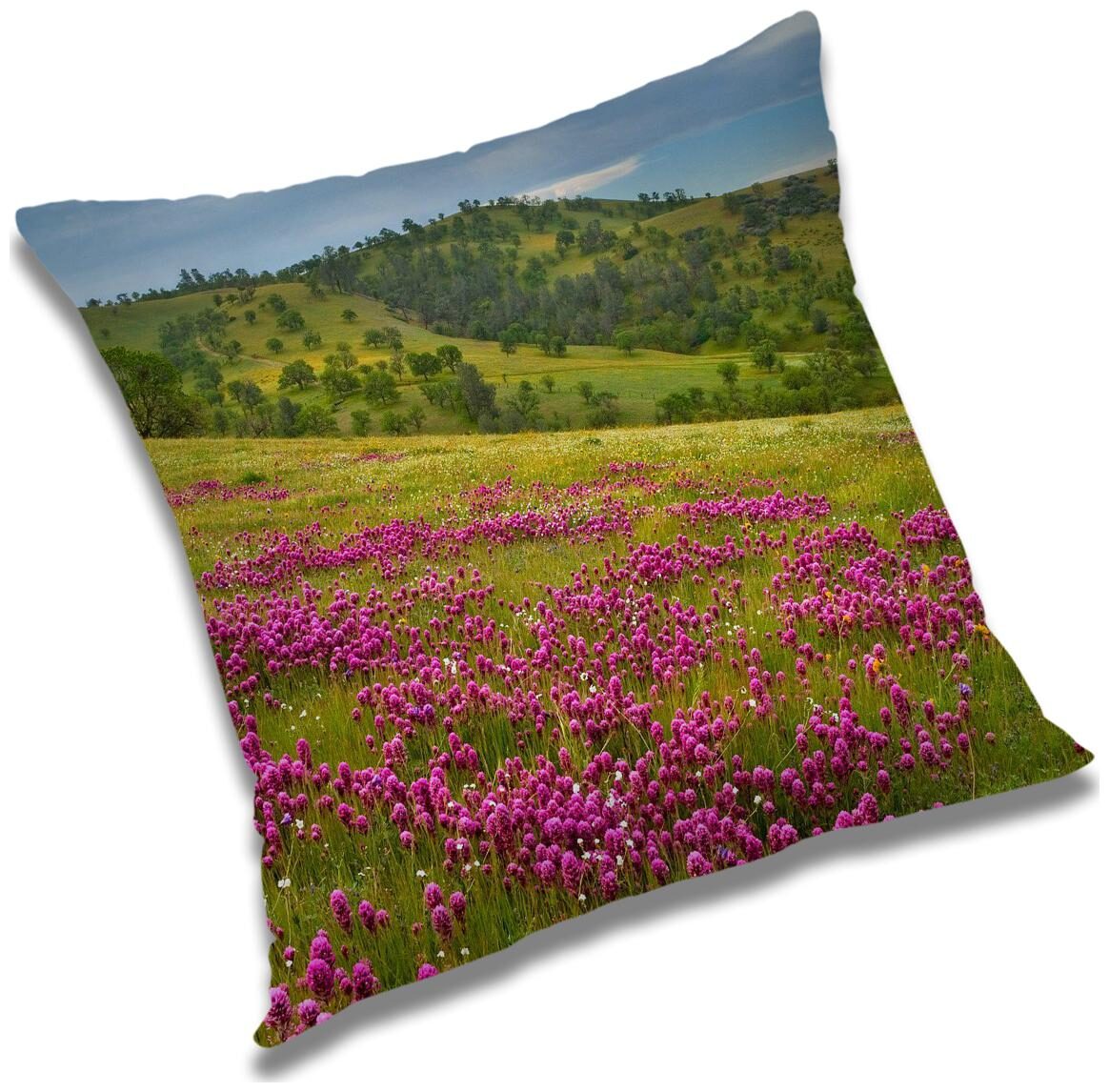 https://assetscdn1.paytm.com/images/catalog/product/H/HO/HOMRADANYA-PRINRADA9934032D66D060/1563107937193_0..jpg
