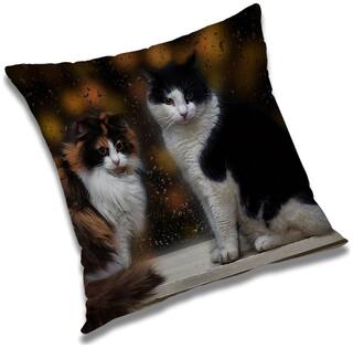 RADANYA Printed Cushion Cover with Filler Set 24x24 inch
