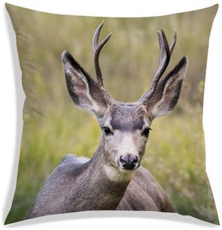 RADANYA Printed Polyester Grey Cushion Cover ( Extra large , Pack of 1 )