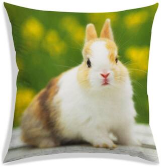 RADANYA Printed Cushion Cover 16x16 inch