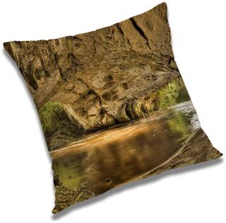 RADANYA Printed Cushion Cover with Filler Set 12x12 inch