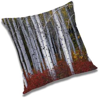 RADANYA Printed Cushion Cover with Filler Set 24x24 inch