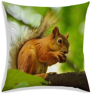RADANYA Printed Polyester Peach Cushion Cover ( Large , Pack of 1 )