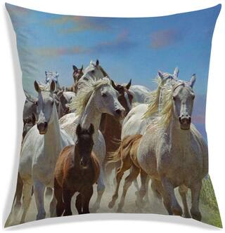 RADANYA Printed Cushion Cover 24x24 inch