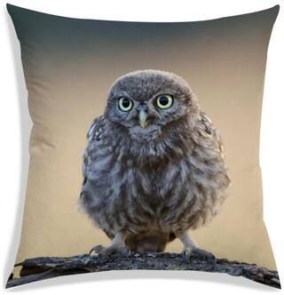 RADANYA Printed Polyester Brown Cushion Cover ( Regular , Pack of 1 )