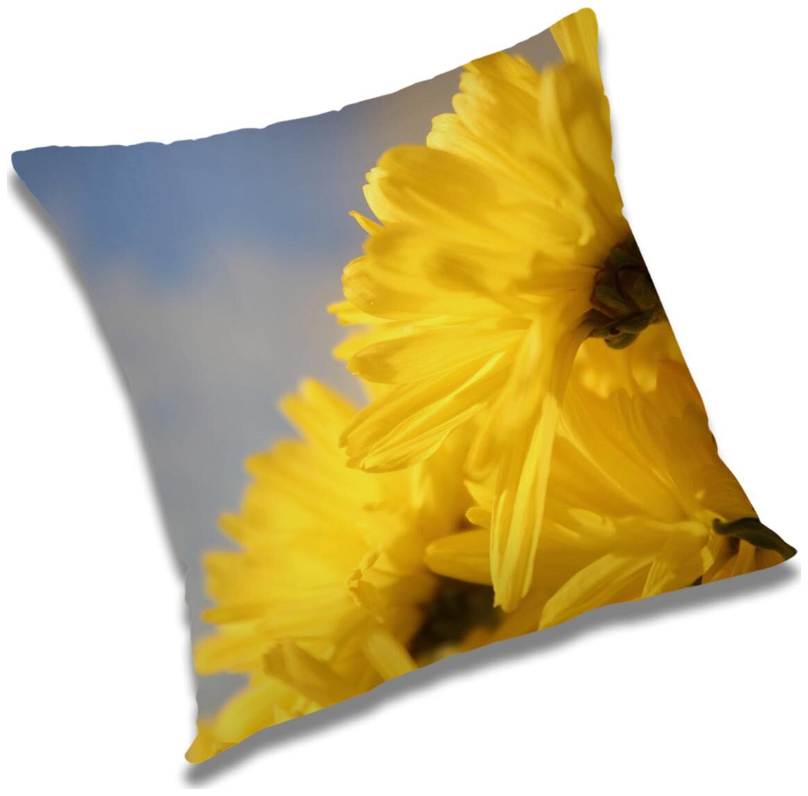 

RADANYA Printed Cushion Cover with Filler Set 12x12 inch
