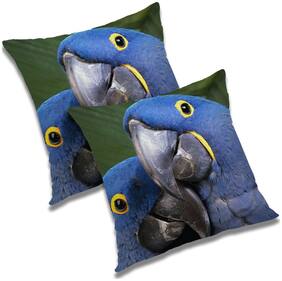 RADANYA Printed Polyester Black Cushion Cover ( Regular , Pack of 2 )