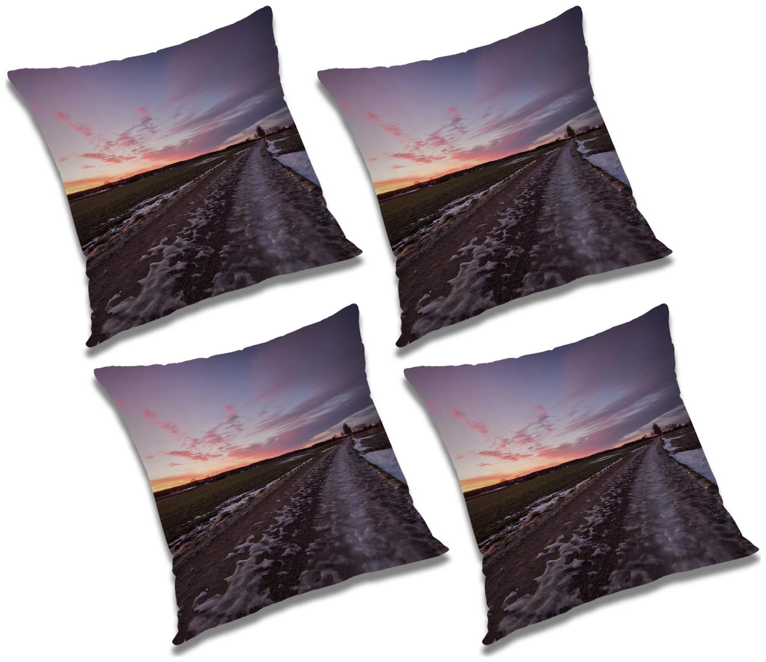 

RADANYA Printed Cushion Cover with Filler (Set of 4) 20x20 inch