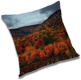 RADANYA Printed Cushion Cover with Filler Set 12x12 inch