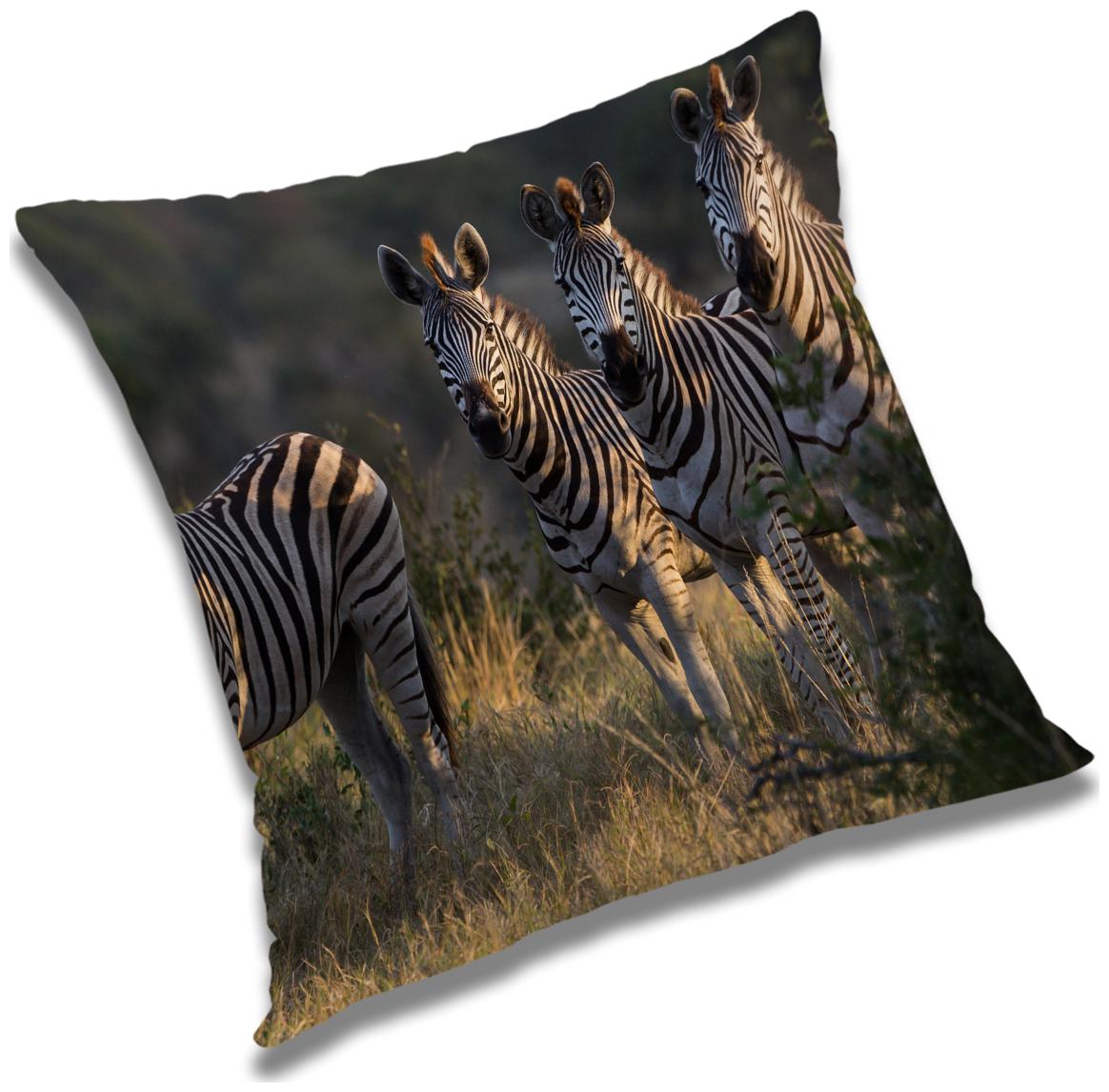 

RADANYA Printed Cushion Cover with Filler Set 18x18 inch