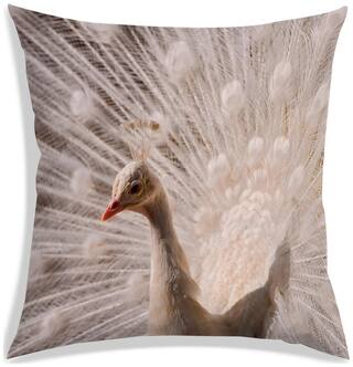 RADANYA Printed Polyester Off-white Cushion Cover ( Regular , Pack of 1 )