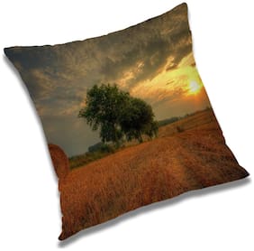 RADANYA Printed Cushion Cover with Filler Set 24x24 inch