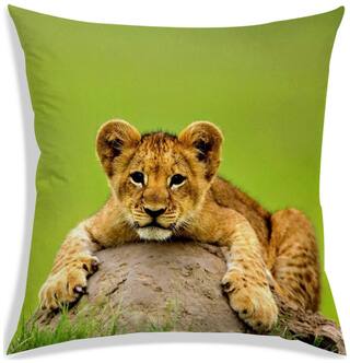 RADANYA Printed Polyester Brown Cushion Cover ( Regular , Pack of 1 )