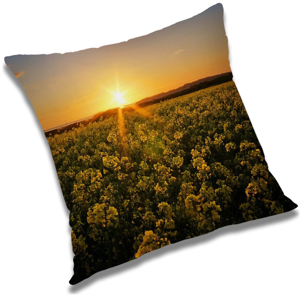 https://assetscdn1.paytm.com/images/catalog/product/H/HO/HOMRADANYA-PRINRADA993403483028AA/1563045947399_0..jpg