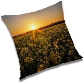 RADANYA Printed Cushion Cover with Filler Set 24x24 inch