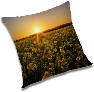 RADANYA Printed Cushion Cover with Filler Set 24x24 inch