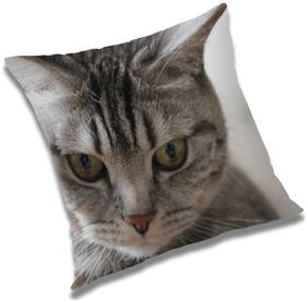 RADANYA Printed Cushion Cover with Filler Set 20x20 inch