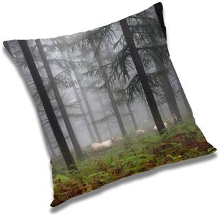 RADANYA Printed Cushion Cover with Filler Set 12x12 inch