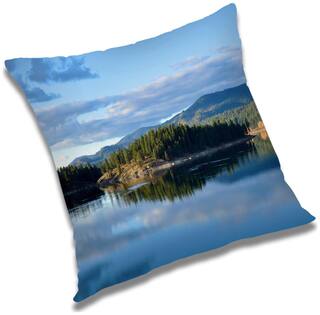 RADANYA Printed Cushion Cover with Filler Set 24x24 inch