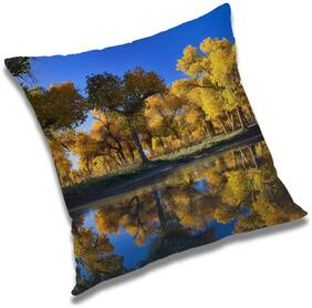 RADANYA Printed Cushion Cover with Filler Set 18x18 inch