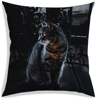 RADANYA Printed Polyester Black Cushion Cover ( Large , Pack of 1 )