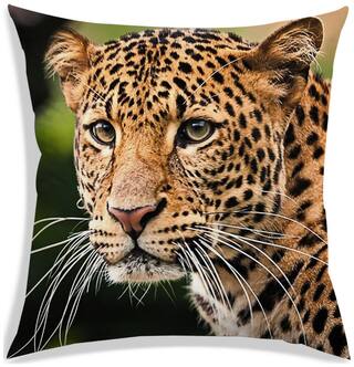RADANYA Printed Polyester Brown Cushion Cover ( Regular , Pack of 1 )